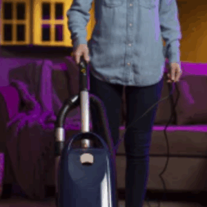 Screenshot 2025 10 29 at 10 29 34 Riccar R30D.6 Tandem Air Deluxe Upright Vacuum eVacuumStore.com