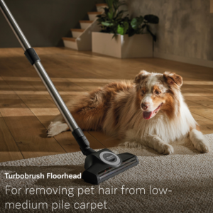 Screenshot 2026 03 13 at 14 16 07 Miele Guard L1 Cat & Dog Canister Vacuum For Pet Hair Williams Sonoma