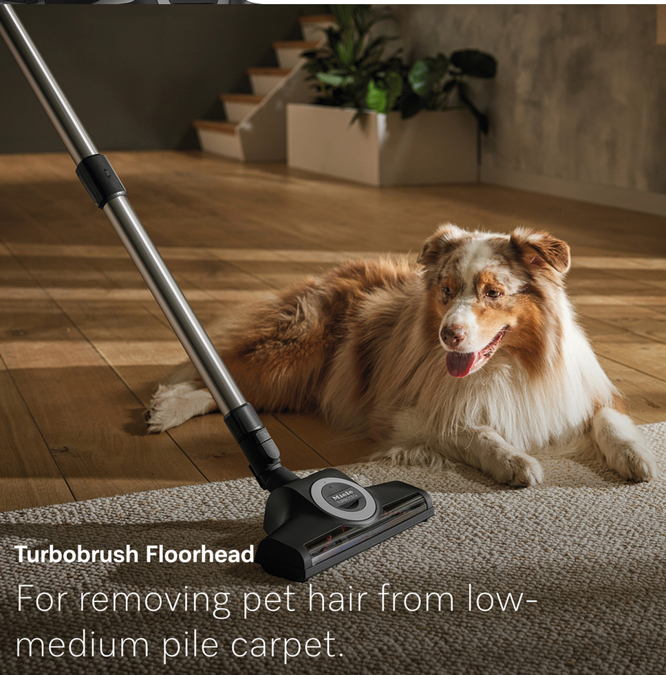 Screenshot 2026 03 13 at 14 16 07 Miele Guard L1 Cat & Dog Canister Vacuum For Pet Hair Williams Sonoma